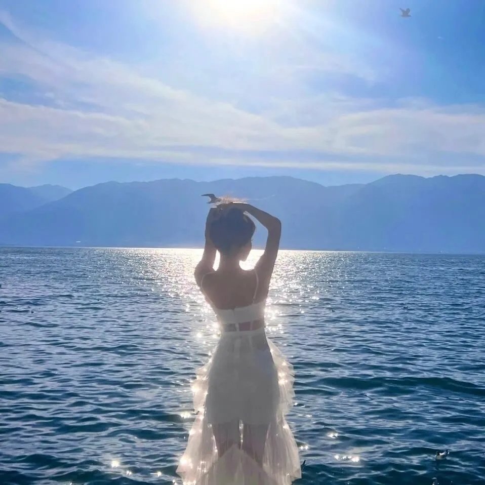 巨浪白鲨鱼 海报